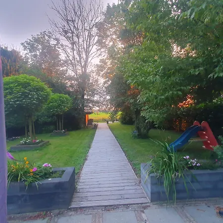 6 - Persoons Forest 217 Sauna Holiday home Ewijk