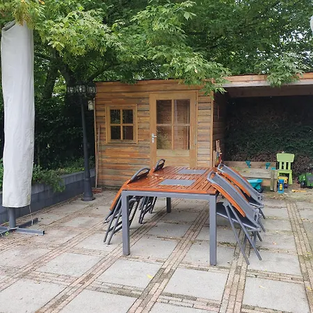 6 - Persoons Forest 217 Sauna Holiday home