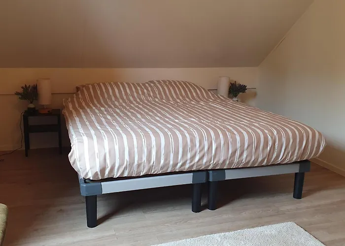 Holiday home 6 - Persoons Forest 217 Sauna