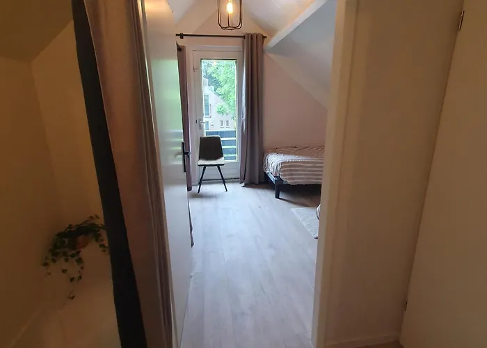 6 - Persoons Forest 217 Sauna Holiday home *