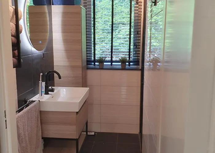 Holiday home 6 - Persoons Forest 217 Sauna Ewijk