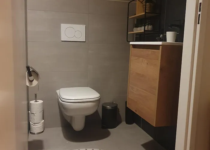 6 - Persoons Forest 217 Sauna Ewijk