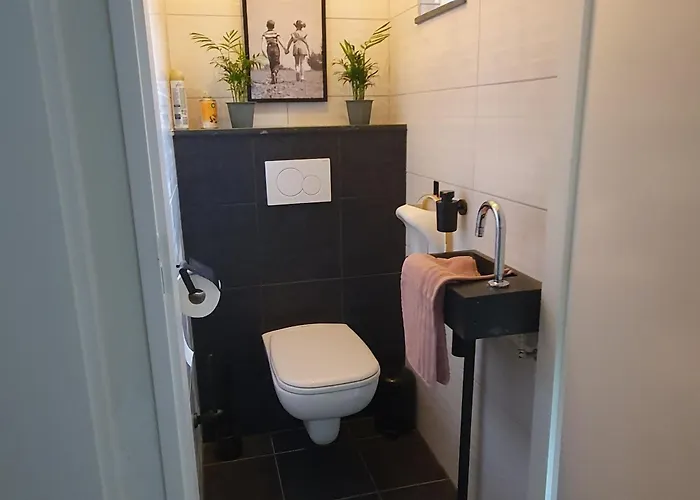 6 - Persoons Forest 217 Sauna Holiday home