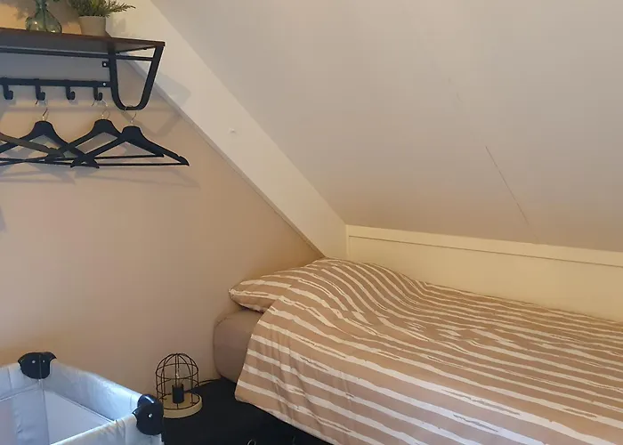 6 - Persoons Forest 217 Sauna Ewijk