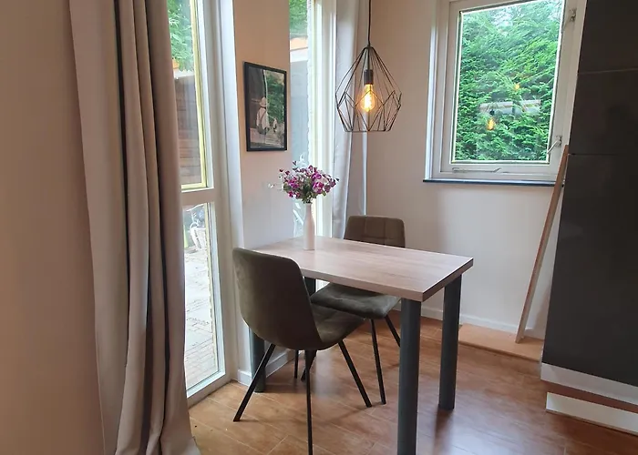 6 - Persoons Forest 217 Sauna Holiday home Ewijk